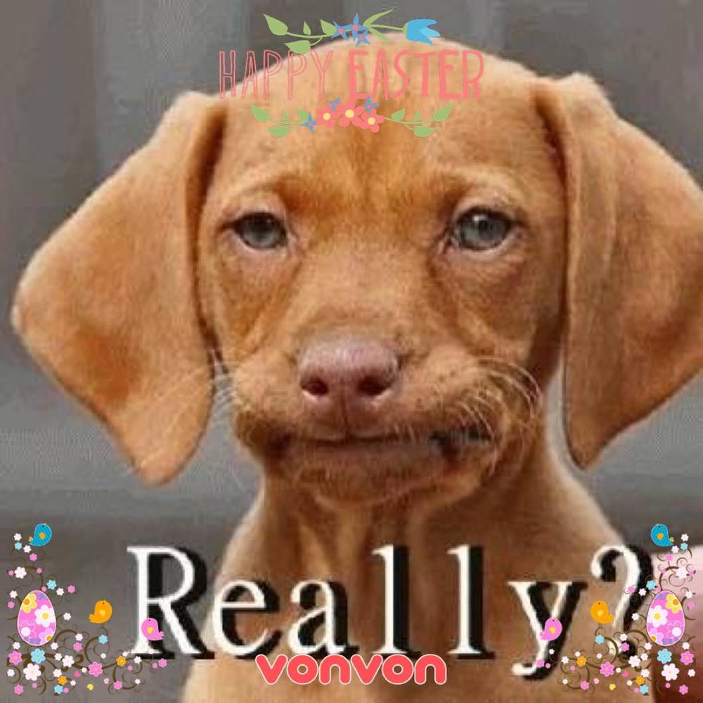 Meet your Posher, Tonya